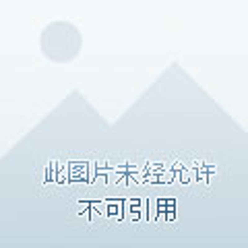 湛江电子支付:如何在数字经济时代抢占先机